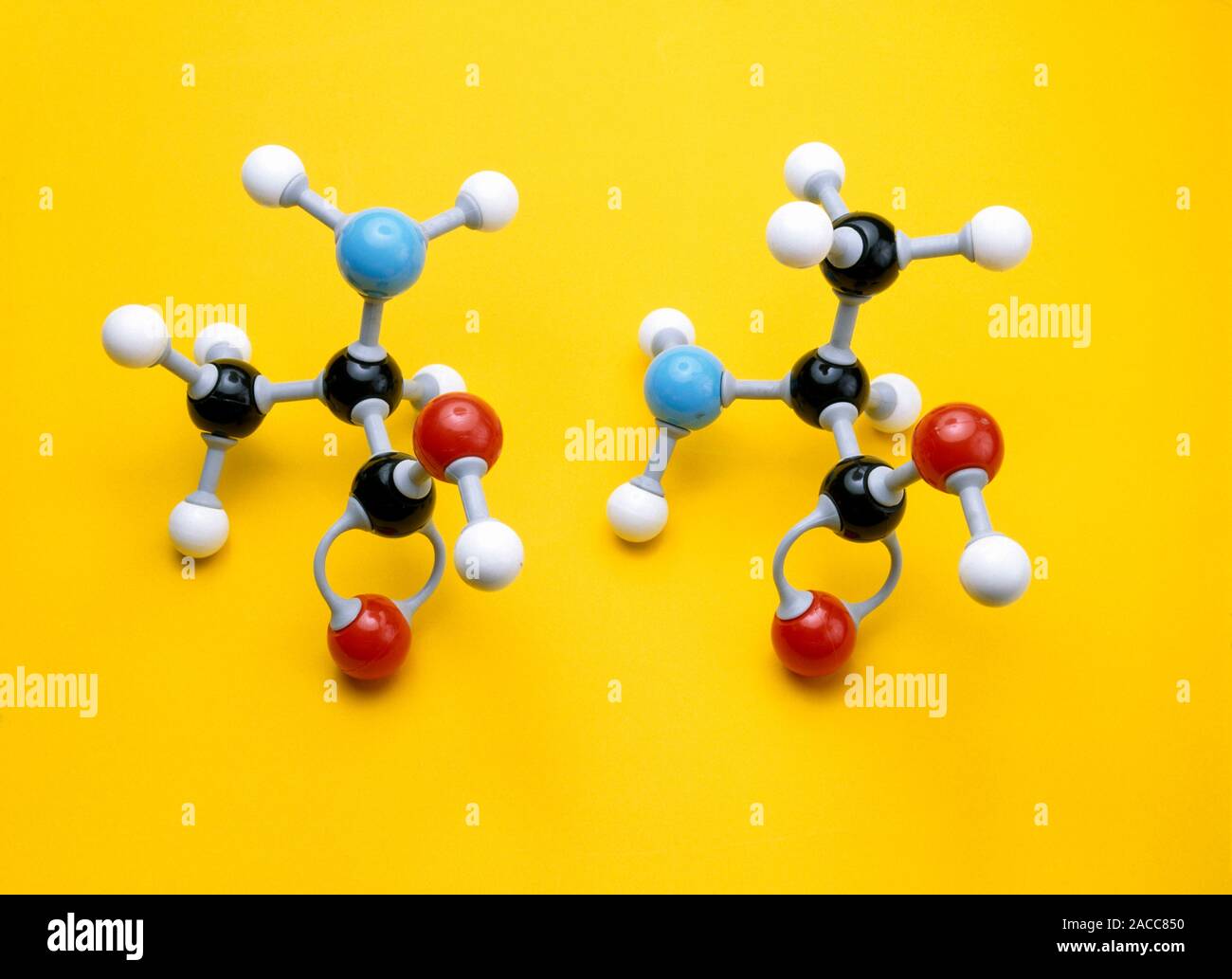 La alanina isómero modelos. Modelos moleculares de los dos isómeros