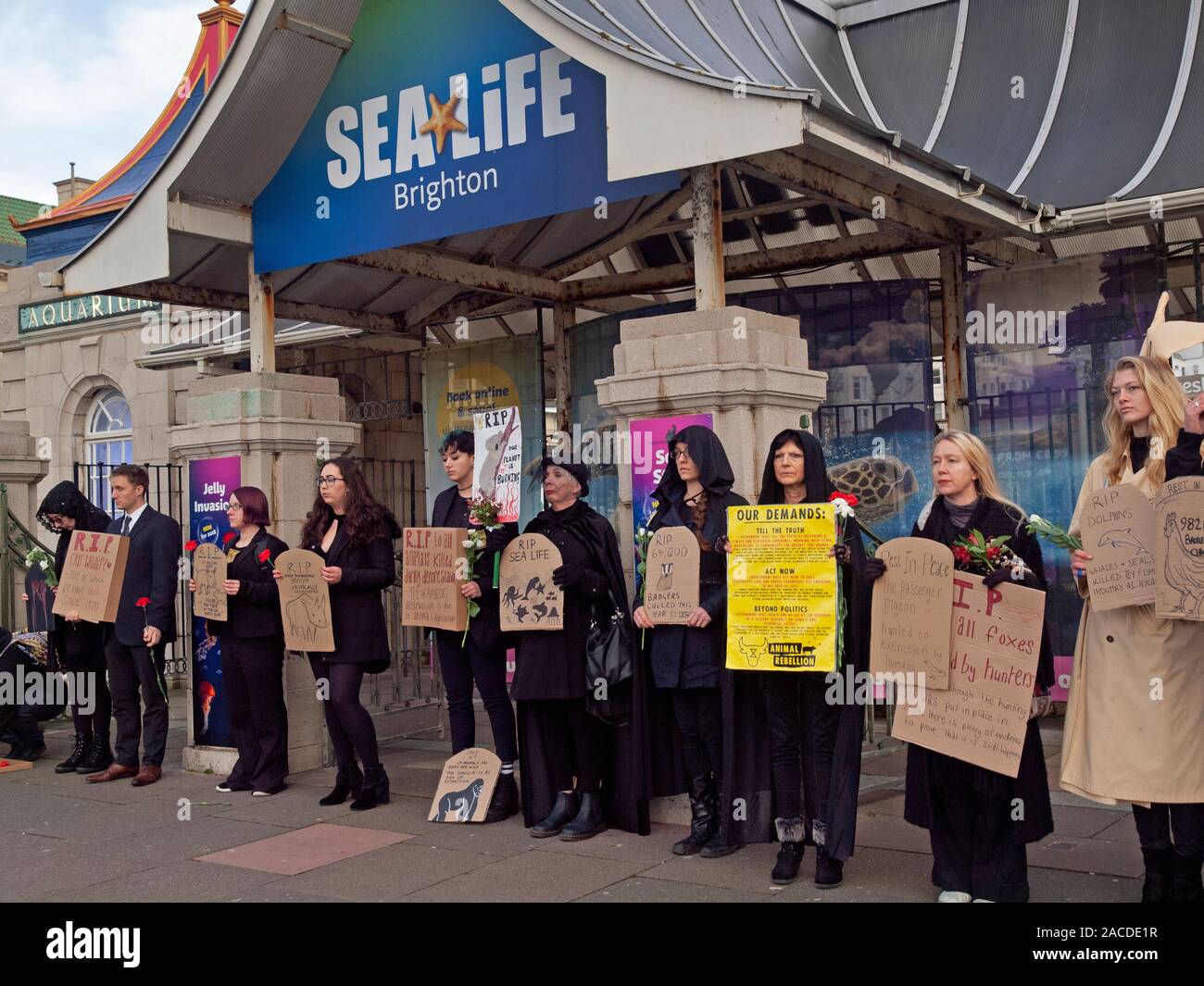 Una protesta por la rebelión Animal, celebrada fuera del acuario de Brighton Foto de stock