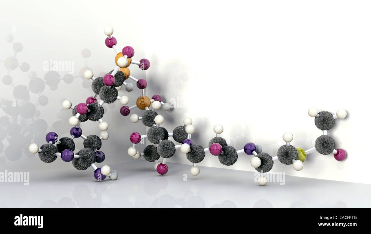 La coenzima A, modelo molecular. Los átomos están representados por esferas  (carbono, hidrógeno difuso: negro: blanco) con los lazos entre ellos como  barras. Coenzima A i Fotografía de stock - Alamy