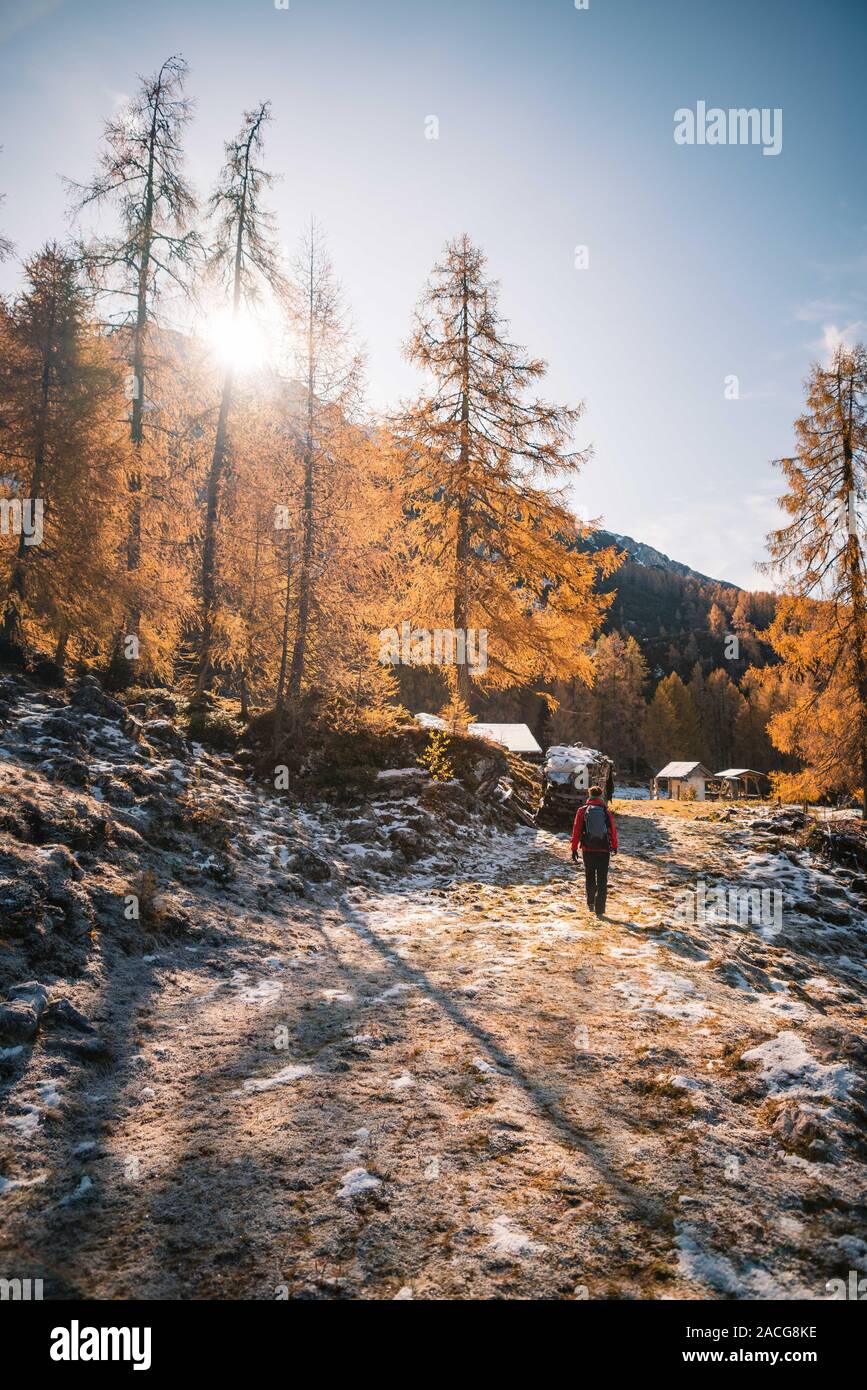 Mujer senderismo en Alpes Austriacos cerca de Filzmoos en otoño, Salzburgo, Austria Foto de stock