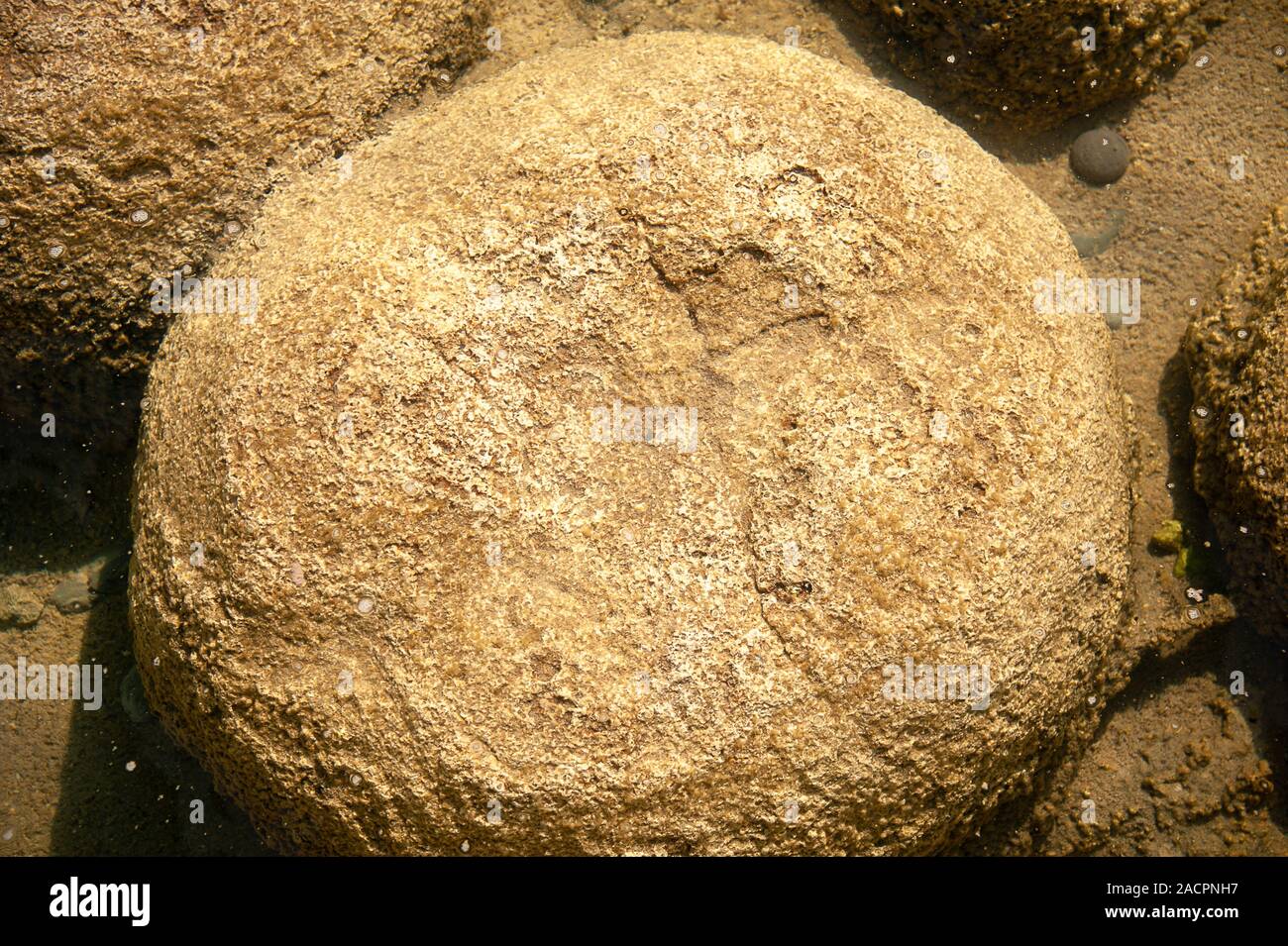 Antigua, Lago Thrombolites Clifton, el oeste de Australia. Foto de stock