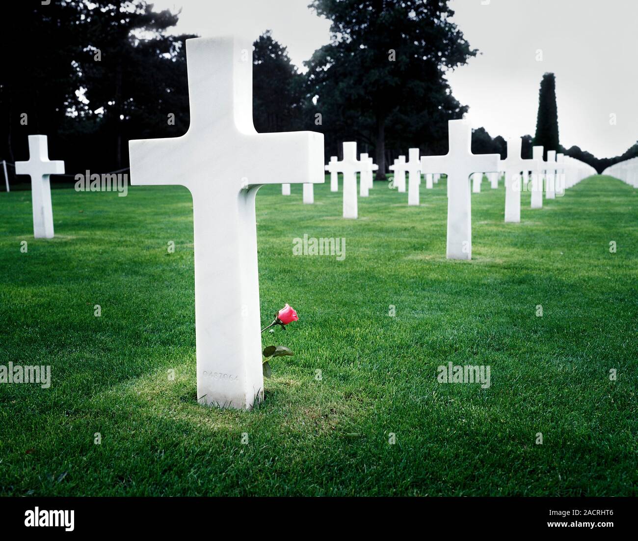 Nosotros cementerio, Normandía, Francia. Filas de cruces de mármol