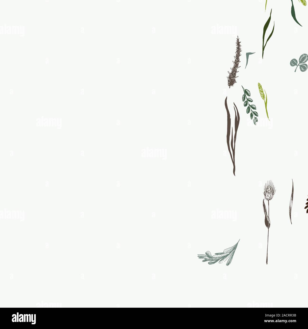 Hierbas silvestres y flores en seamless pattern en colores verdes sobre fondo claro. Campos de hierbas son en estilo de grabado Ilustración del Vector