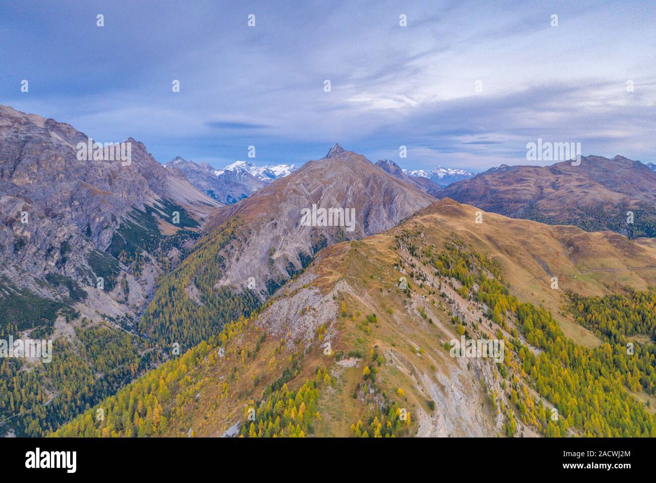 Amanecer en el Valle Alpisella otoñal y Cima Di Pozzin enmarcado por alerces, vista aérea, Livigno, Valtellina, Lombardía, Italia Foto de stock