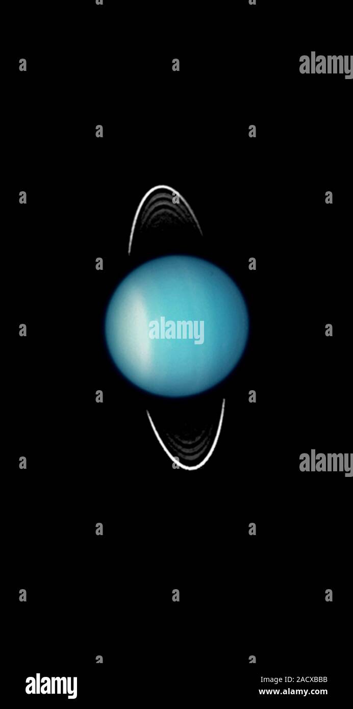 Urano. Telescopio Espacial Hubble (HST) imagen de Urano visto desde la  Tierra, con sus anillos vistos casi de canto. Urano es única entre los  planetas de la Fotografía de stock - Alamy