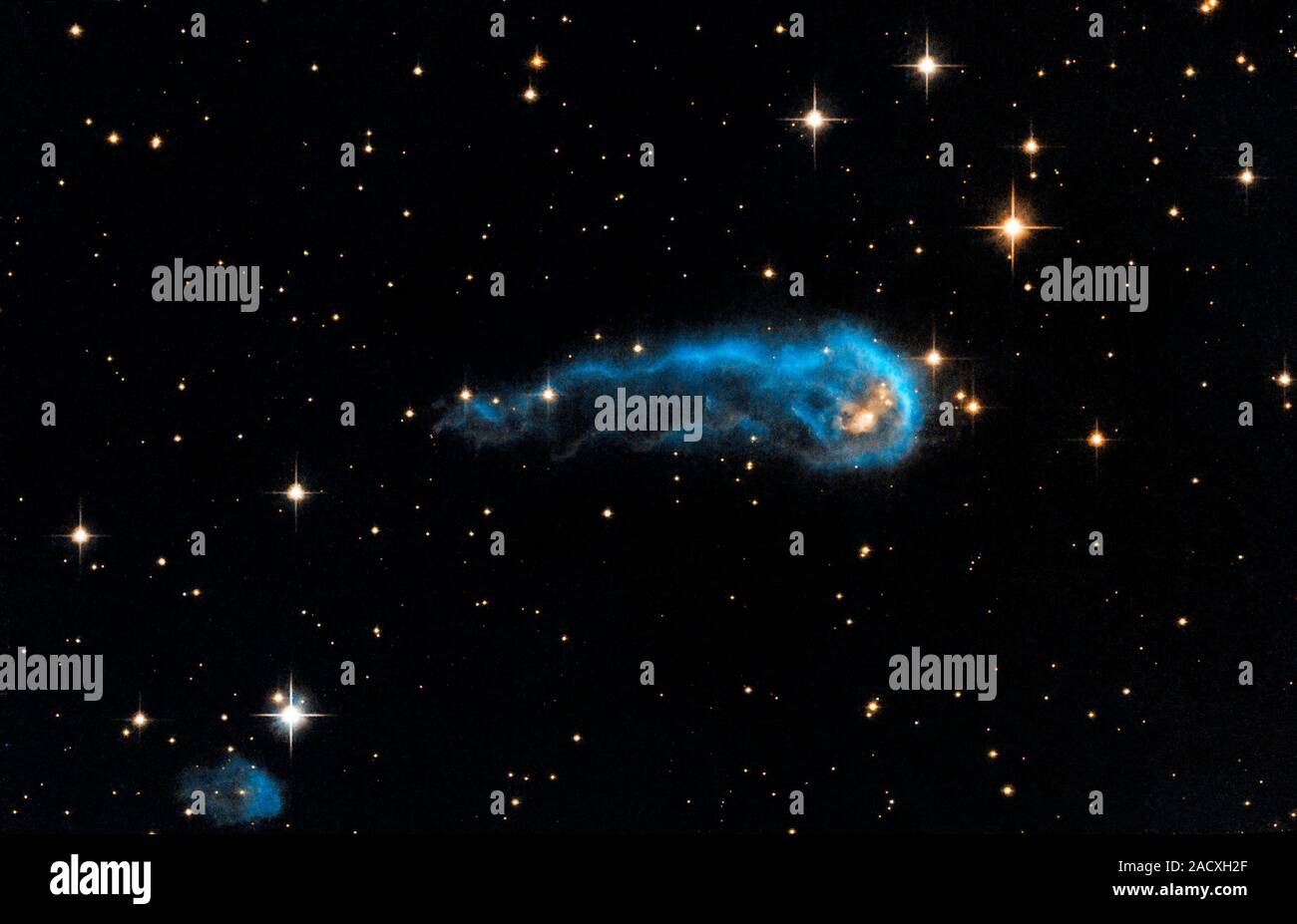 Imagen compuesta del Telescopio Espacial Hubble y el Telescopio Isaac  Newton mostrando un Caterpillar como protoestrella (IRAS 20324+4057) a una  temprana stag Fotografía de stock - Alamy
