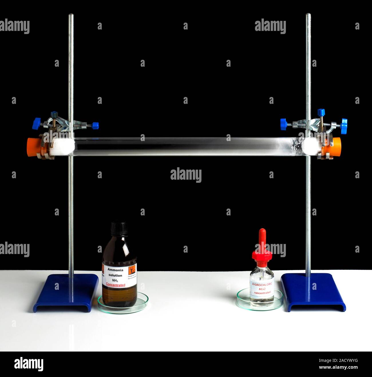 La formación de cloruro de amonio. Un tubo horizontal con tapones de  algodón hidrófilo, uno empapado en amoniaco, el otro empapado en ácido  clorhídrico. La vapo Fotografía de stock - Alamy