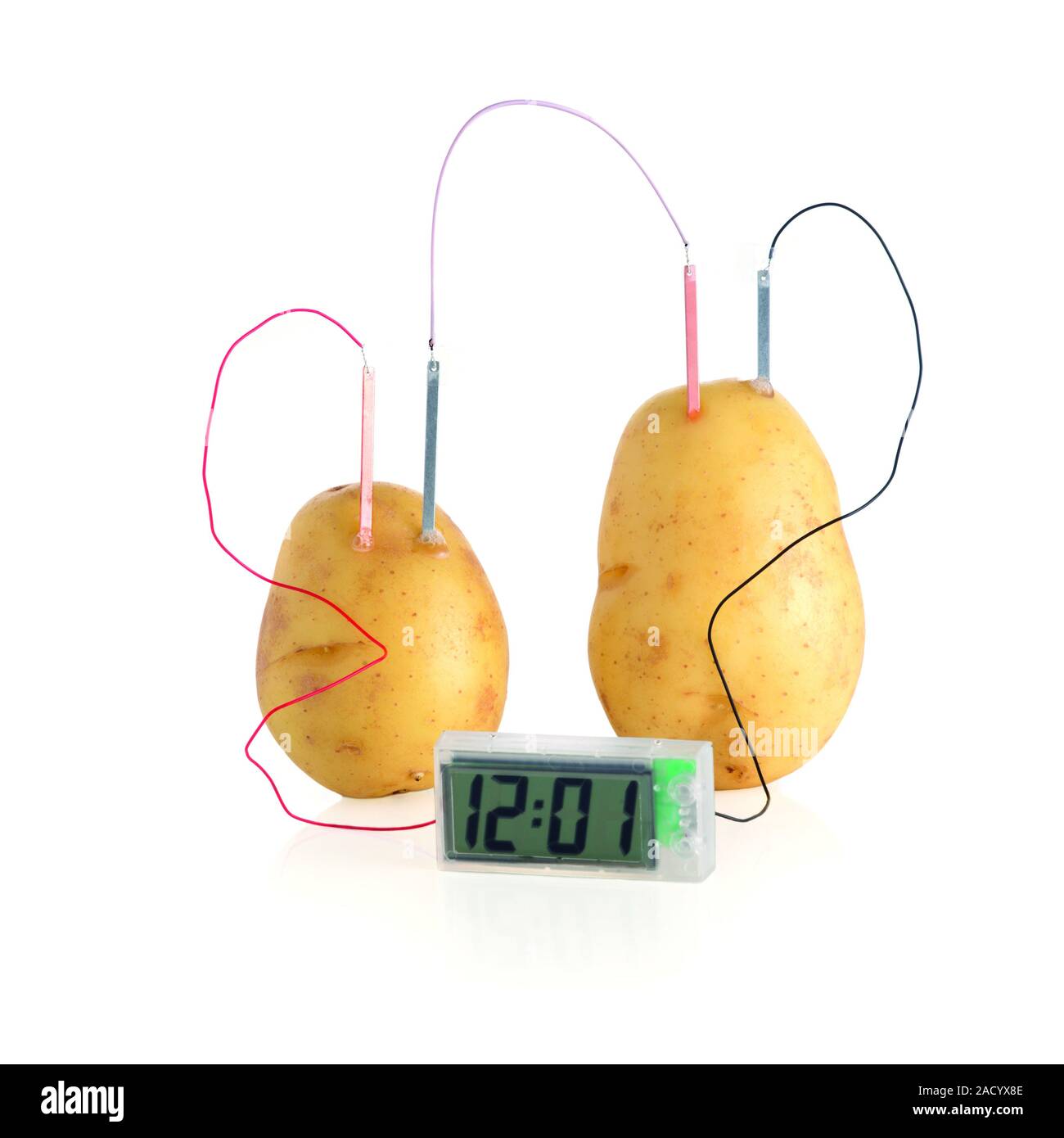 Reloj de patata. Dos Papas que se utilizan para proporcionar corriente  eléctrica suficiente para alimentar un reloj electrónico. Las patatas están  siendo utilizados como electrolyt Fotografía de stock - Alamy
