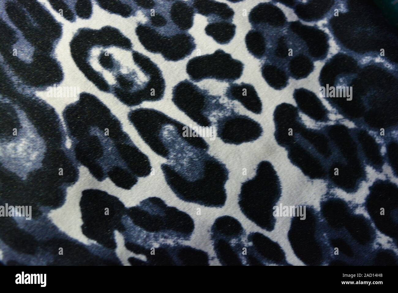 tapa resultado Acerca de la configuración Hermoso animal print con manchas, patrón de leopardo y piel animal,  blanco-marrón con manchas de color gris Fotografía de stock - Alamy