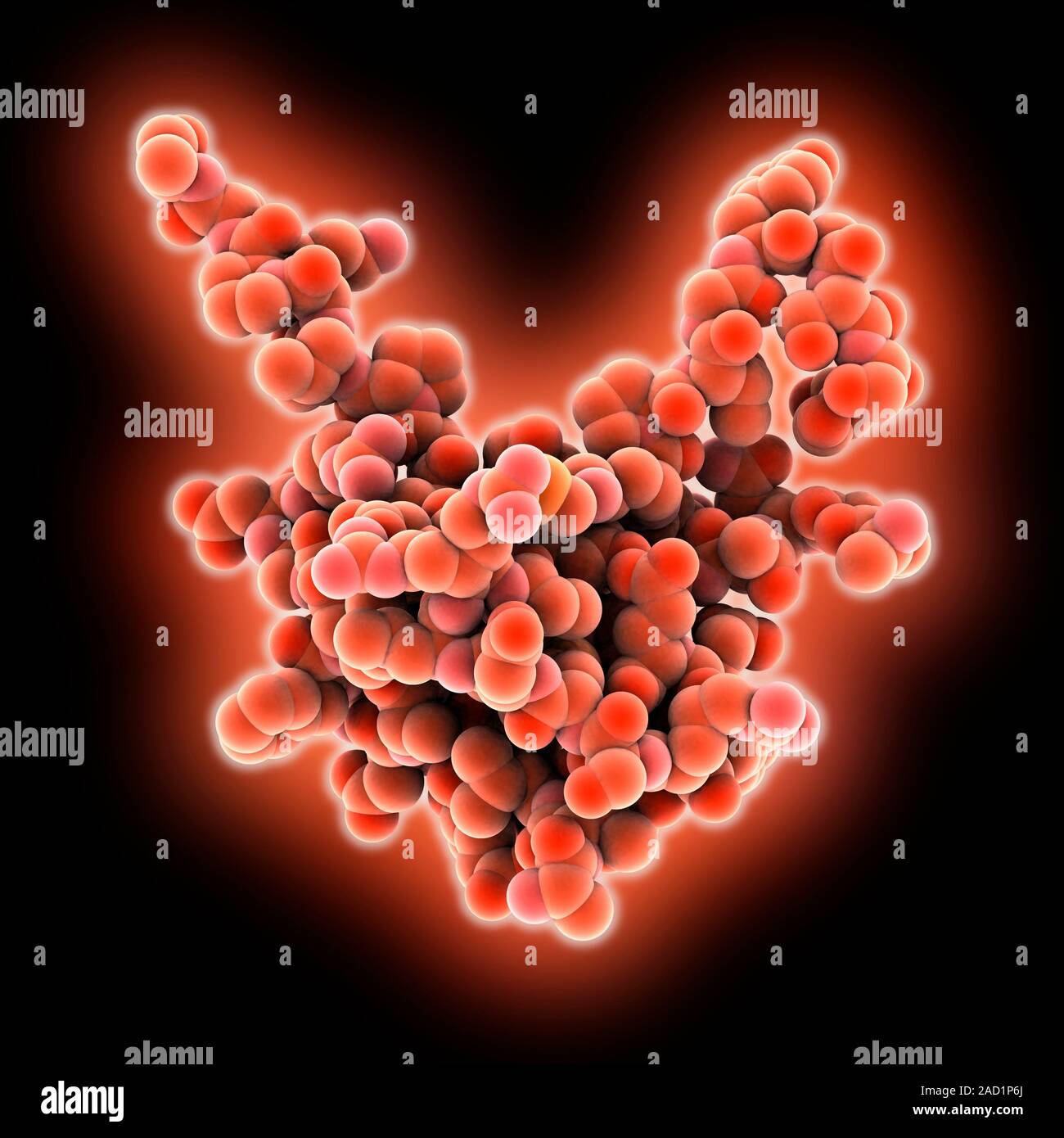 Factor de crecimiento semejante a la insulina 1 (IGF1), modelo