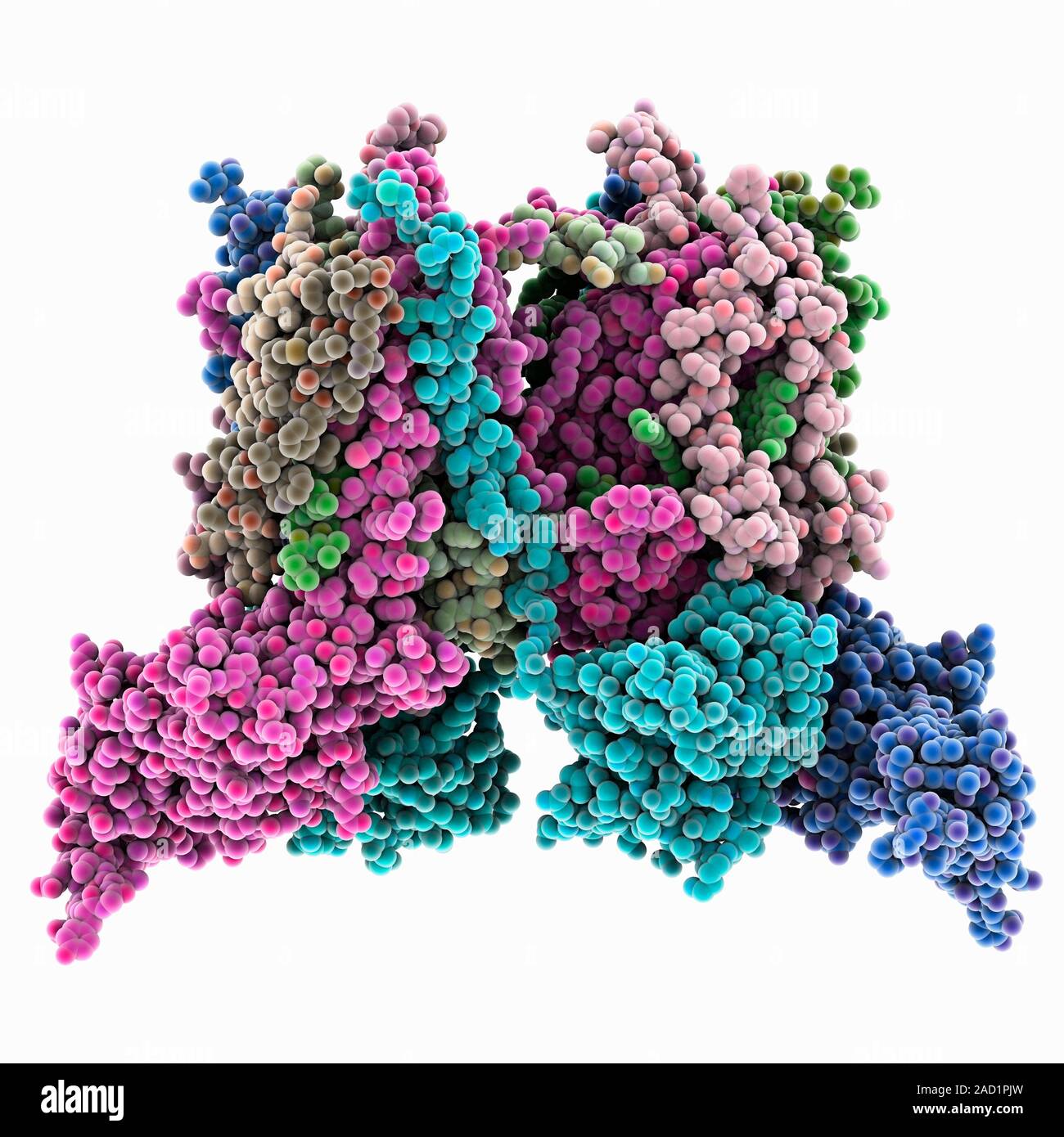 El Citocromo B6f, Modelo Molecular Compleja. Moléculas De Citocromo ...