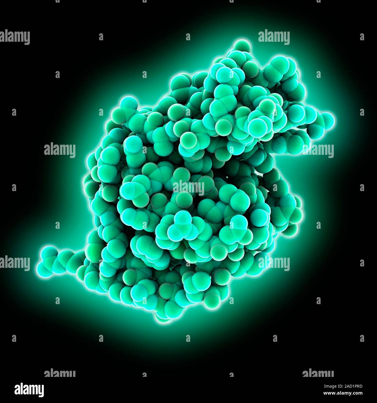 La Lisozima Modelo Molecular Lysozymes Son Enzimas Que Se Encuentran