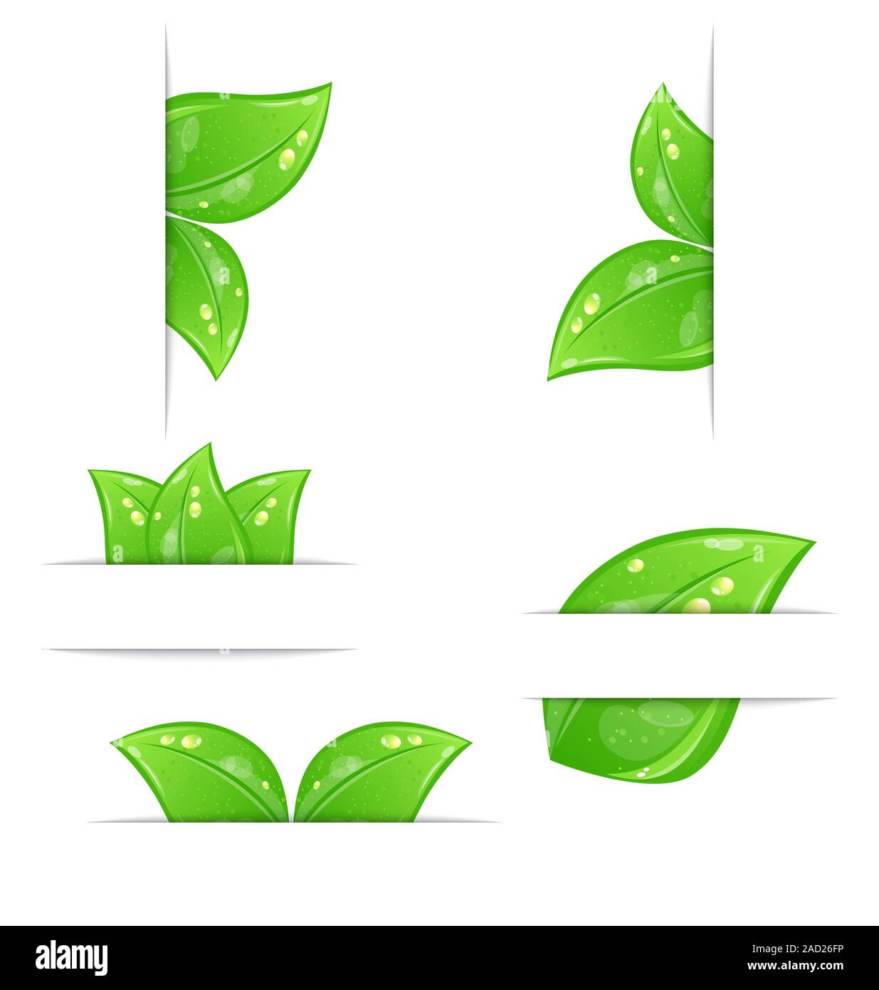 Conjunto de etiquetas ecológicas verdes con hojas aisladas sobre fondo blanco. Foto de stock