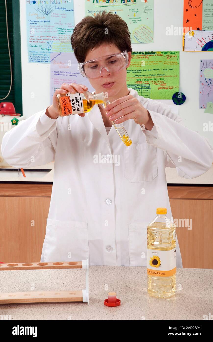 Pruebas de grasas saturadas experimento. Estudiante en un laboratorio  añadir agua de bromo para el aceite de girasol para comprobar la presencia  de grasas saturadas. Grasa saturada Fotografía de stock - Alamy