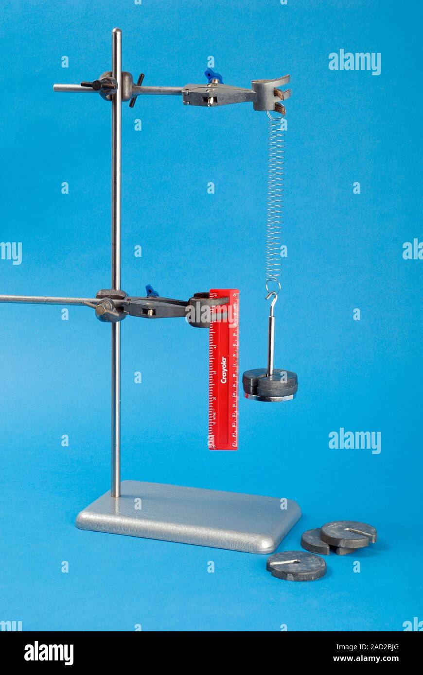 Medición de la fuerza. El experimento que muestra un simple dispositivo  utilizado para medir la fuerza ejercida sobre un objeto por la gravedad.  Este medidor de fuerza se realiza desde un muelle