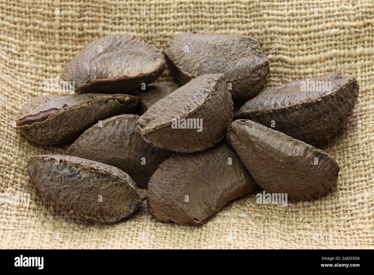 Las nueces del Brasil con cáscara Fotografía de stock - Alamy