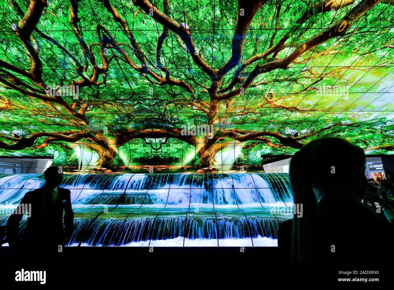 OLED curvo Fernseher von LG, Internationale Funkaustellung, Berlín 2019, Deutschland Foto de stock