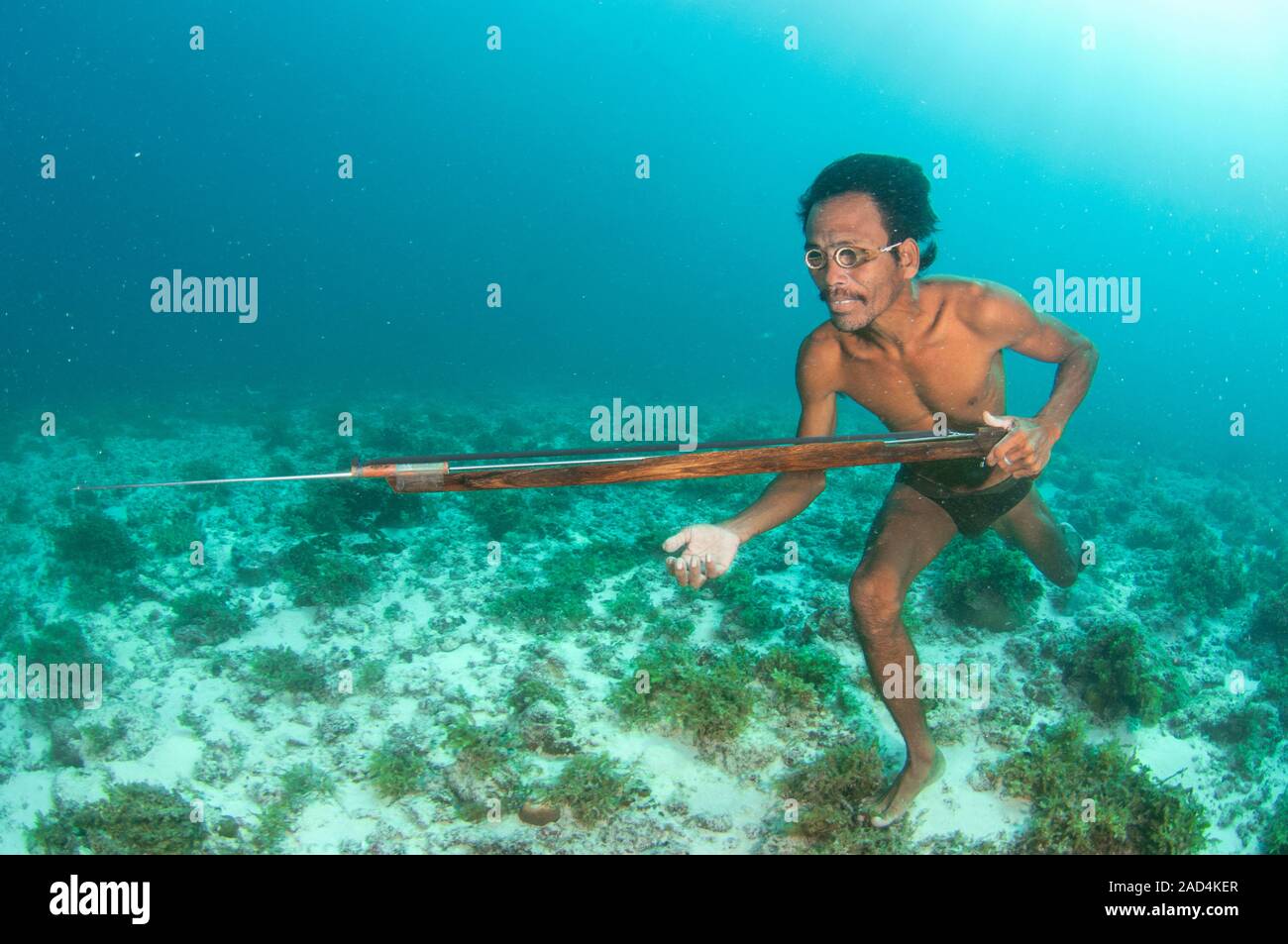 La pesca submarina, Malasia. Mar Bajau spearfisherman gitana apnea y  caminar sobre el lecho marino a la caza de peces con un fusil hecho en  casa. El peo Bajau Fotografía de stock 