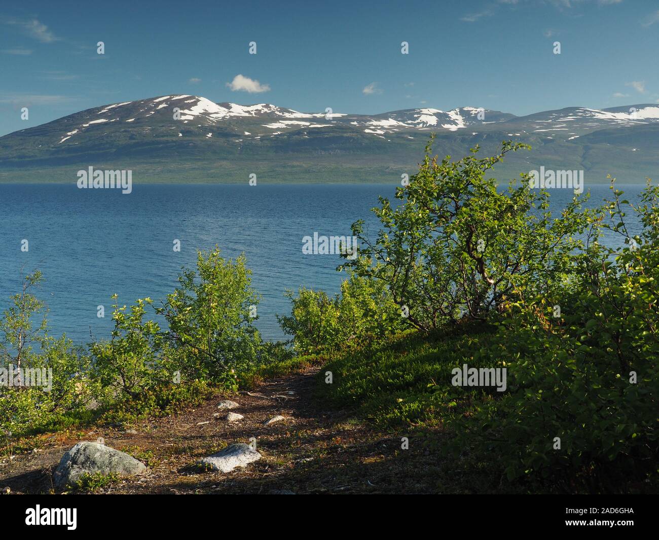Paisaje entre Kiruna y Narvik en Torneträsk (lago) Foto de stock