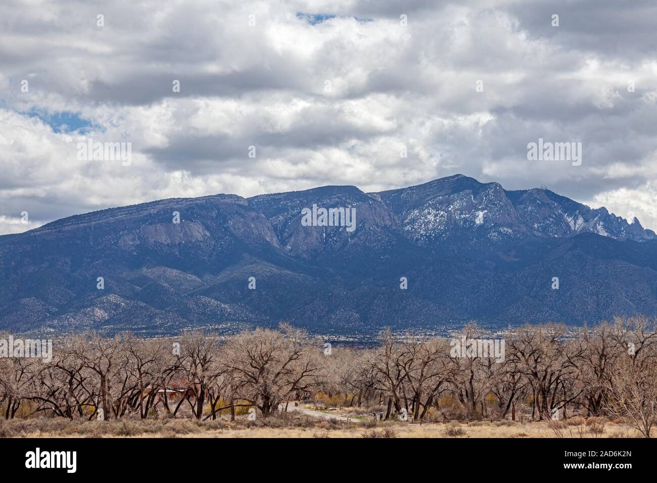 Cottonwood árboles que bordean el Río Grande, con las montañas Sandia en el fondo, de Albuquerque, Nuevo México, EE.UU. Foto de stock