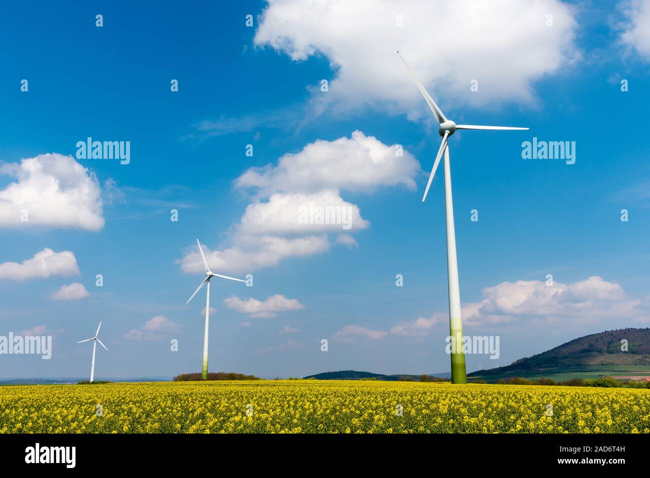 Los motores de viento en un campo de colza en Alemania Foto de stock