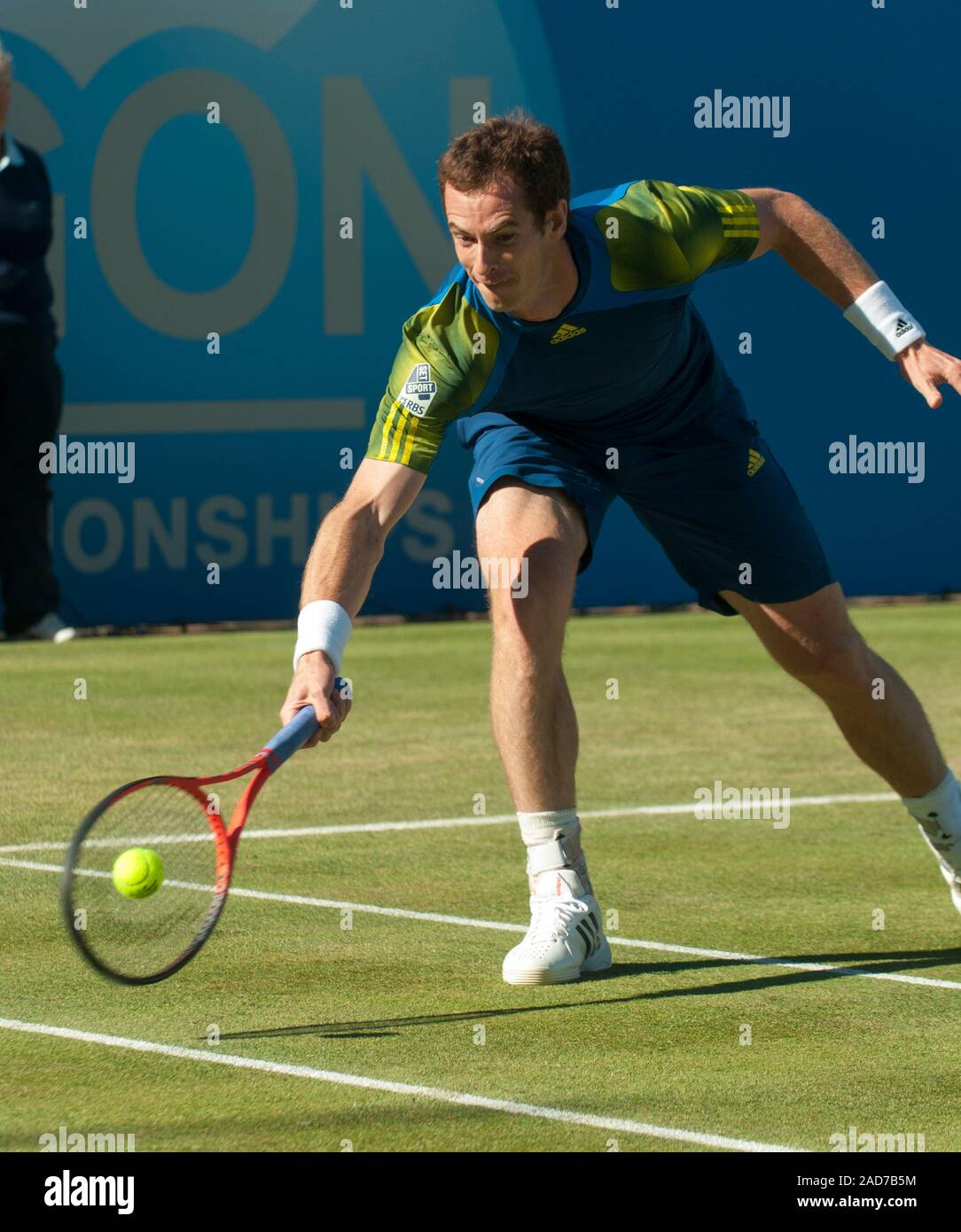 Jugador de tenis británico Andrew Murray en corte en el Queens tennis club en el Aegon hombres solteros del campeonato. Foto de stock