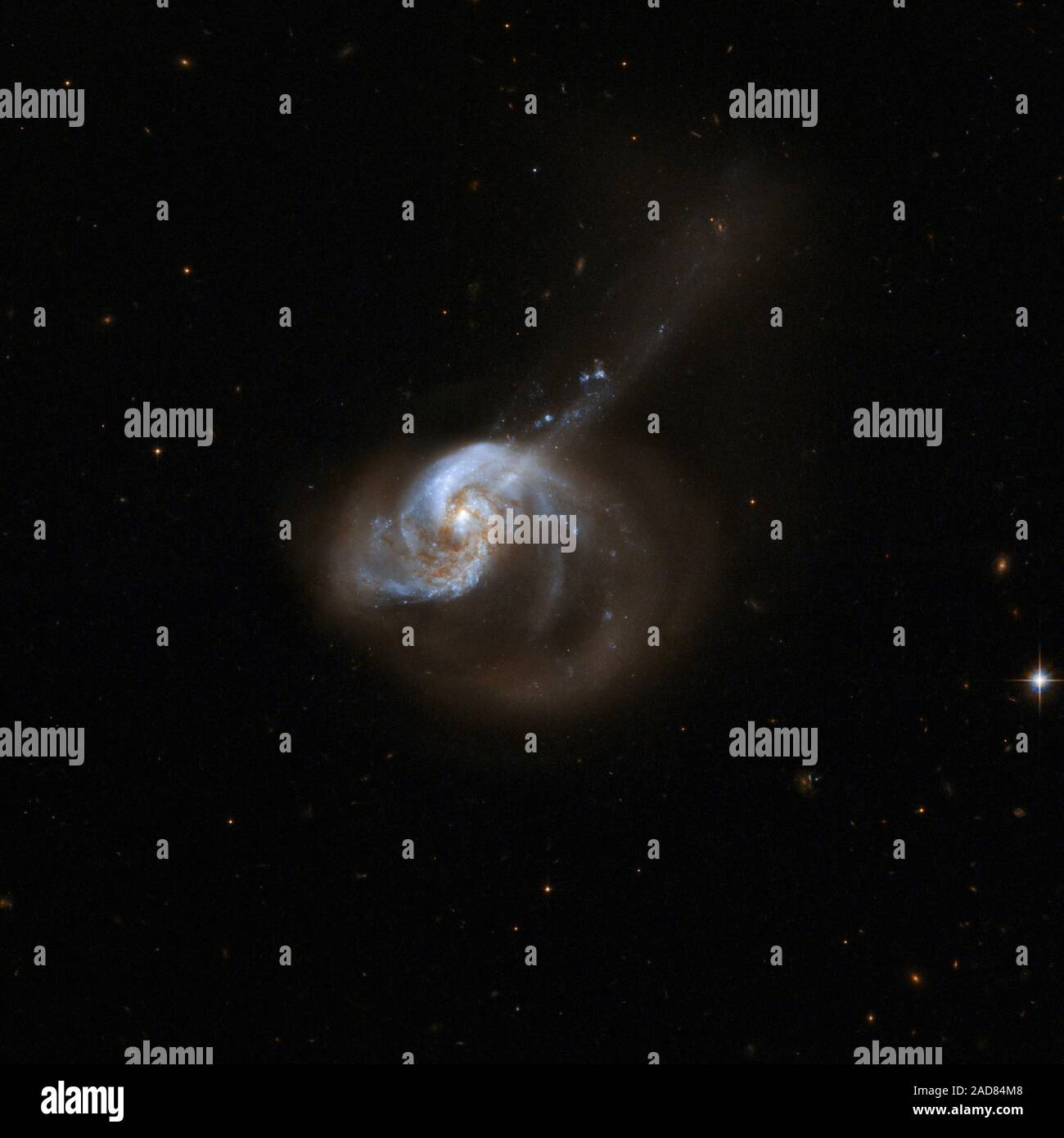 El sistema de la galaxia NGC 1614 tiene un centro óptico brillante y dos brazos espirales interiores claros que son bastante simétricas. También tiene una espectacular estructura exterior que consiste principalmente en una gran extensión curvada de una cara de una de estas armas a la parte inferior derecha, y una larga cola casi recta, que emerge desde el núcleo y cruza el brazo extendido a la parte superior derecha. La galaxia parece ser el resultado de una interacción de marea y la consiguiente fusión de dos sistemas predecesores. El sistema tiene una región nuclear de quasar-como la luminosidad, pero no muestra evidencia directa de un núcleo activo. Ella Foto de stock