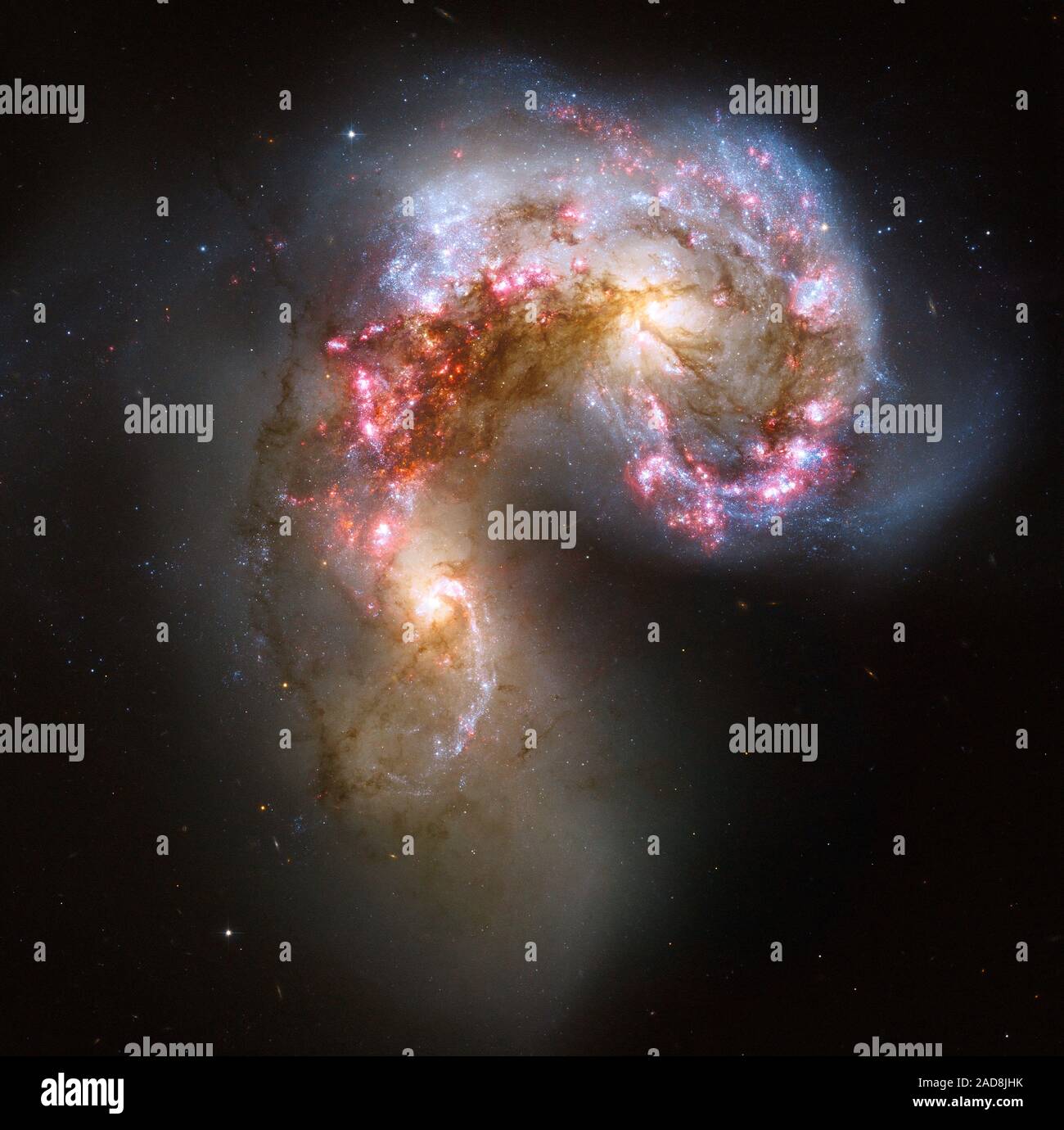Esta nueva imagen del Telescopio Espacial Hubble de la NASA de las galaxias Las Antenas es la más nítida aún la fusión de este par de galaxias. Durante el transcurso de la colisión, miles de millones de estrellas se formaron. El más brillante y el más compacto de estas regiones de nacimiento de estrellas se llama super estrella racimos. Las dos galaxias espirales comenzaron a interactuar unos pocos cientos de millones de años atrás, haciendo de las galaxias Las Antenas uno de los ejemplos más cercanos y más jóvenes de un par de galaxias en colisión. Casi la mitad de los objetos débiles en la imagen de las antenas son jóvenes clusters que contienen decenas de miles de estrellas. El naranja blobs a th Foto de stock