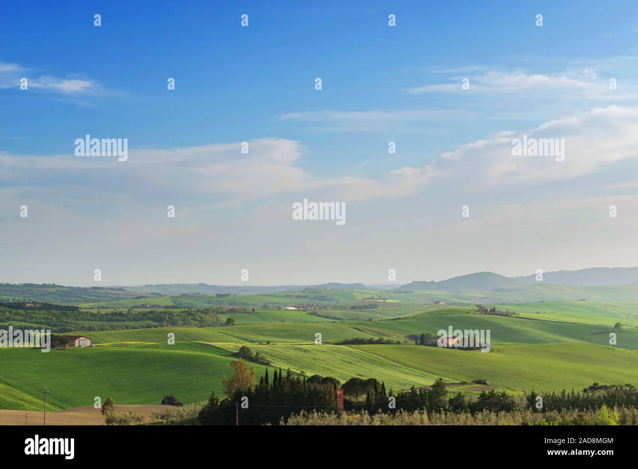 Hermoso paisaje primaveral en la campiña Toscana, Italia Foto de stock