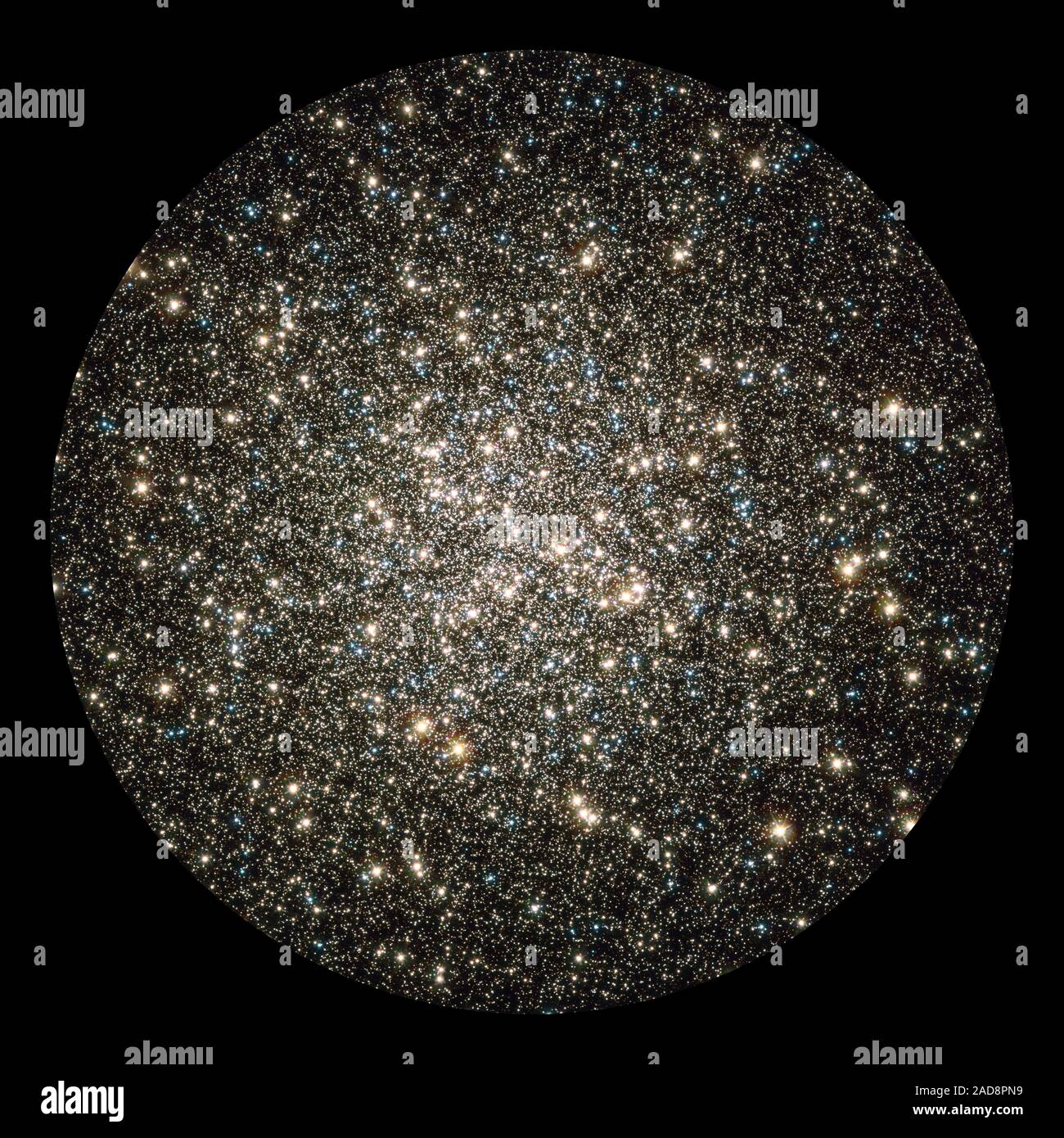 Como un torbellino de escamas brillantes chispeantes en un globo de nieve, Hubble atrapa un vistazo instantáneo de muchos cientos de miles de estrellas en movimiento en el cúmulo globular M13, uno de los mejores y más brillantes conocidos cúmulos globulares en el cielo del norte. Este brillante metrópolis de estrellas se encuentra fácilmente en el cielo de invierno en la constelación de Hércules e incluso puede vislumbrarse con el ojo desnudo bajo un cielo oscuro. M13 es el hogar de más de 100.000 estrellas y ubicado a una distancia de 25.000 años luz. Estas estrellas son empaquetados estrechamente juntos en una bola, aproximadamente 150 años-luz de ancho, que th Foto de stock