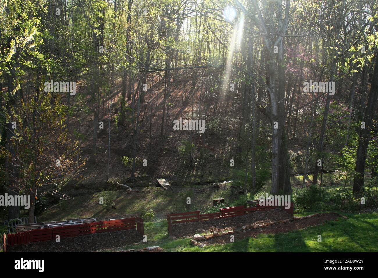 Los rayos del sol se filtran a través de los bosques en la campiña de Virginia. Patio de una propiedad en la rural Virginia en un día de primavera. Foto de stock