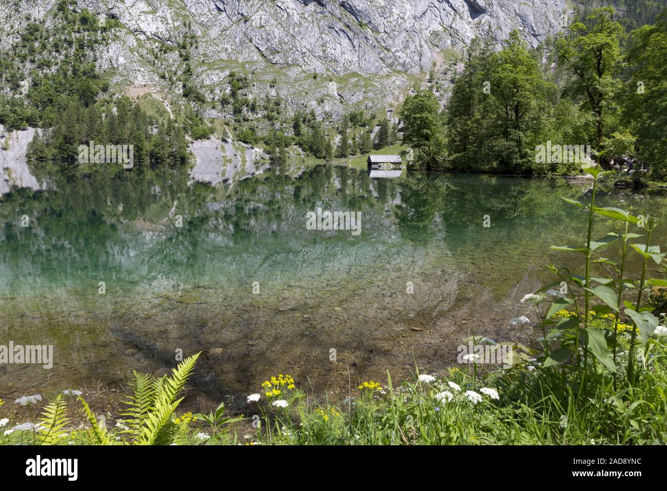Obersee en Baviera, Alemania, en verano Foto de stock