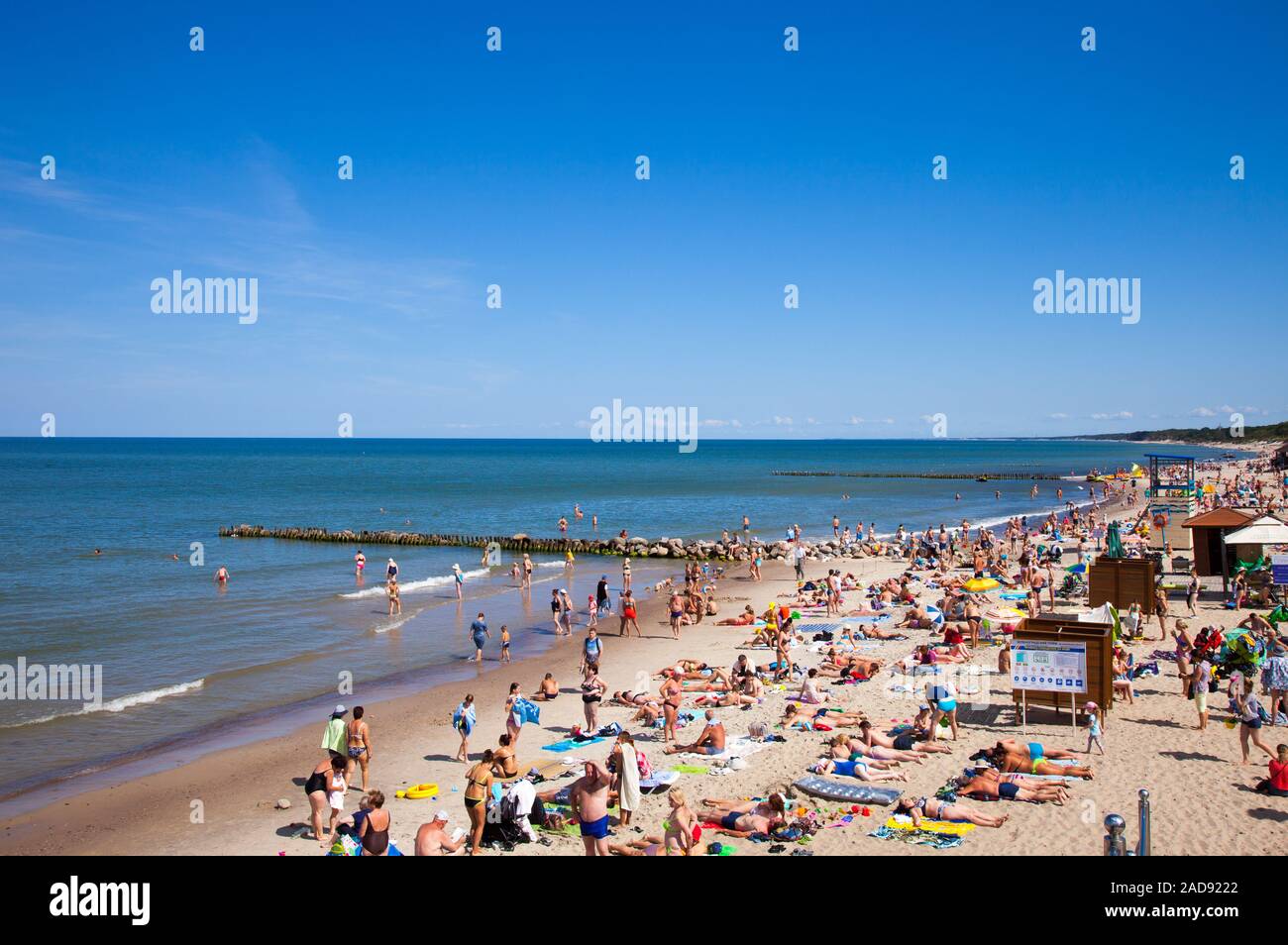Una multitud de bañistas en la playa de Zelenogradsk situado en la costa del Mar Báltico, Rusia. Foto de stock