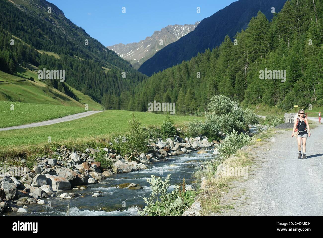 Hermosos senderos a lo largo del arroyo de montaña cerca de Niederthai, Ötztal, Austria Foto de stock
