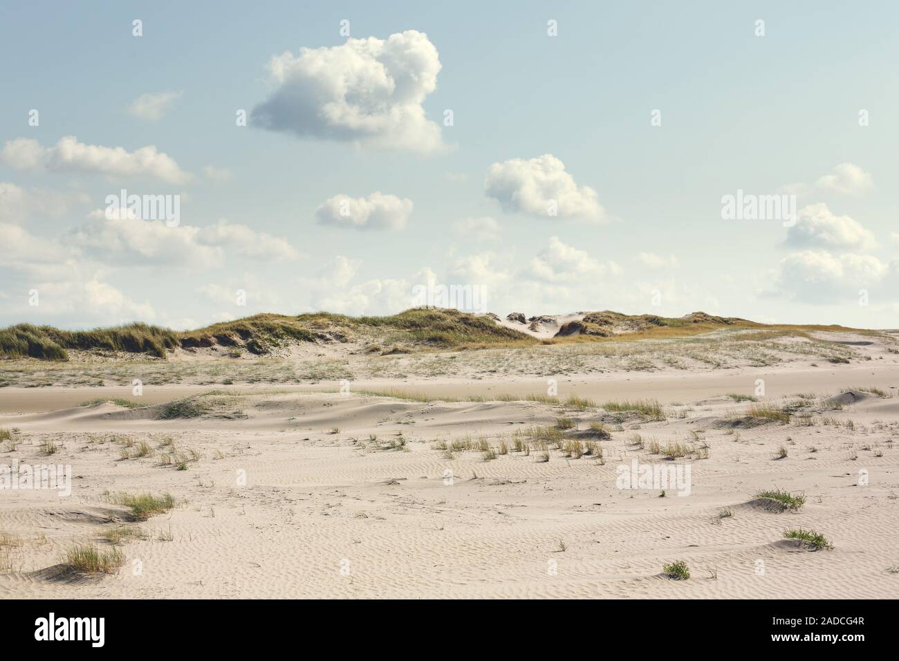 Paisaje dunar en el Mar del Norte con ningún pueblo Foto de stock