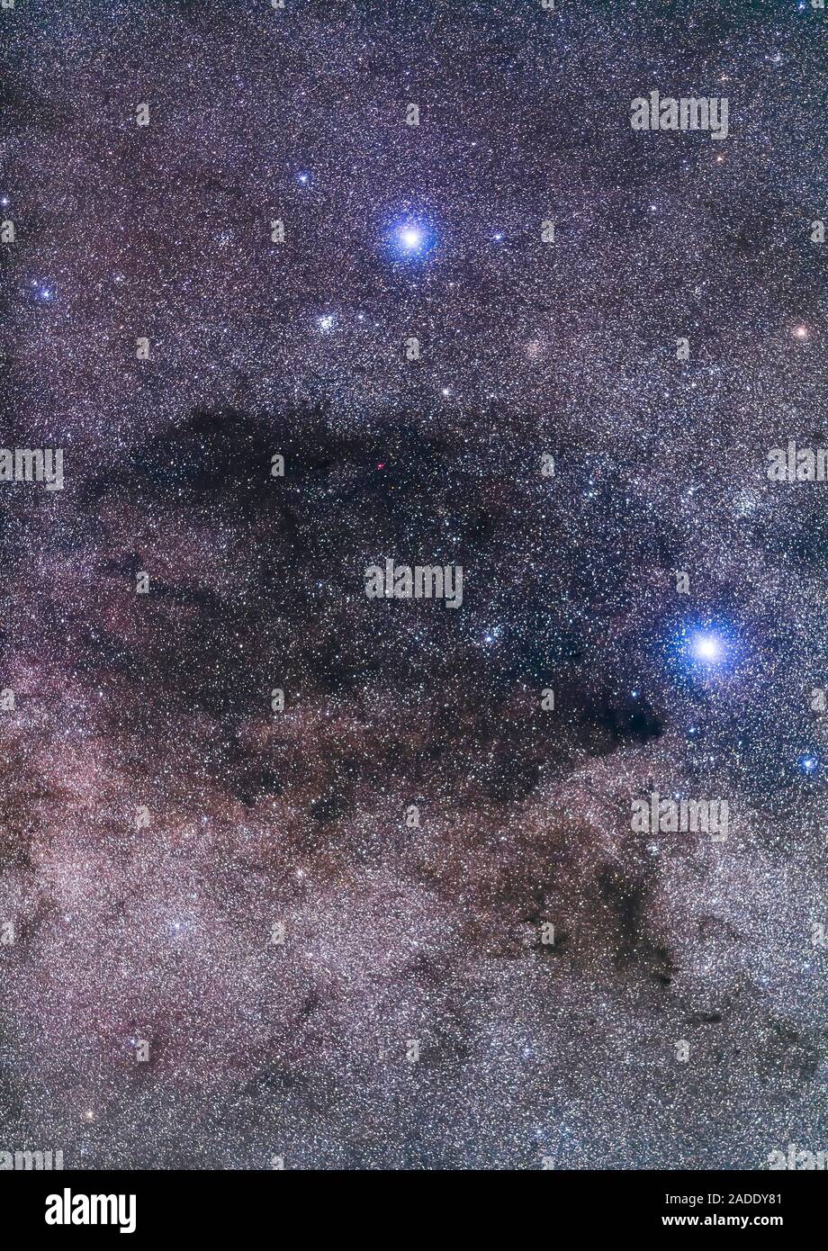 Emigrar Poner Amedrentador La nebulosa oscura del Saco de Carbón junto a la Cruz del Sur. La escena  incluye el abierto cúmulo de estrellas, el joyero (NGC 4755) en la parte  izquierda de Beta (aka