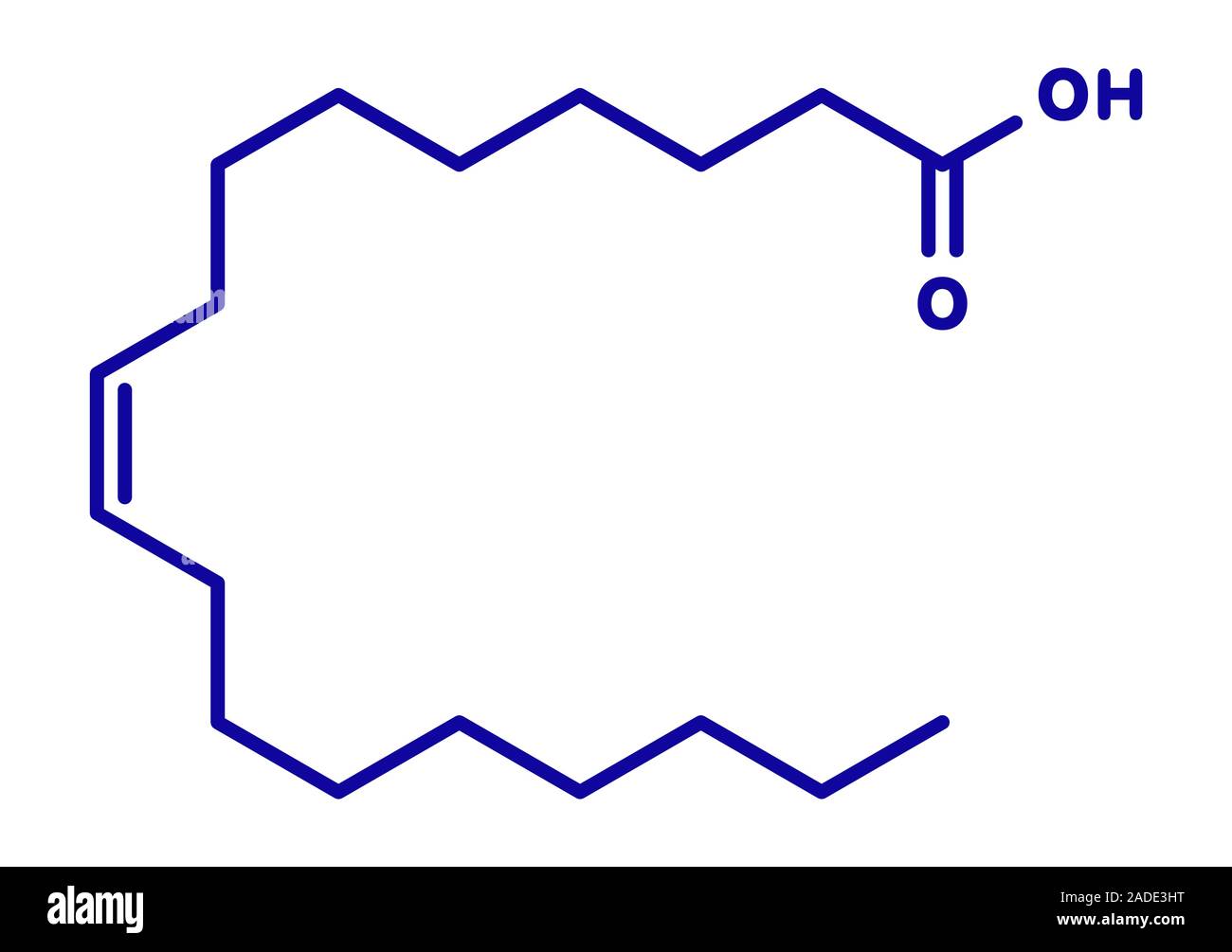 Ácido oleico (omega9, ácidos grasos cis). Comunes en las grasas