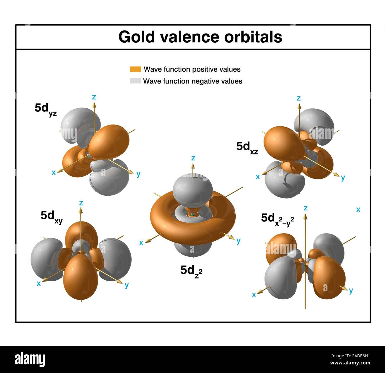 Oro (Au). Diagrama de los orbitales de Valencia de un átomo de oro-197  (número atómico: 79), el isótopo más común de este elemento. El oro es una  transición m Fotografía de stock -