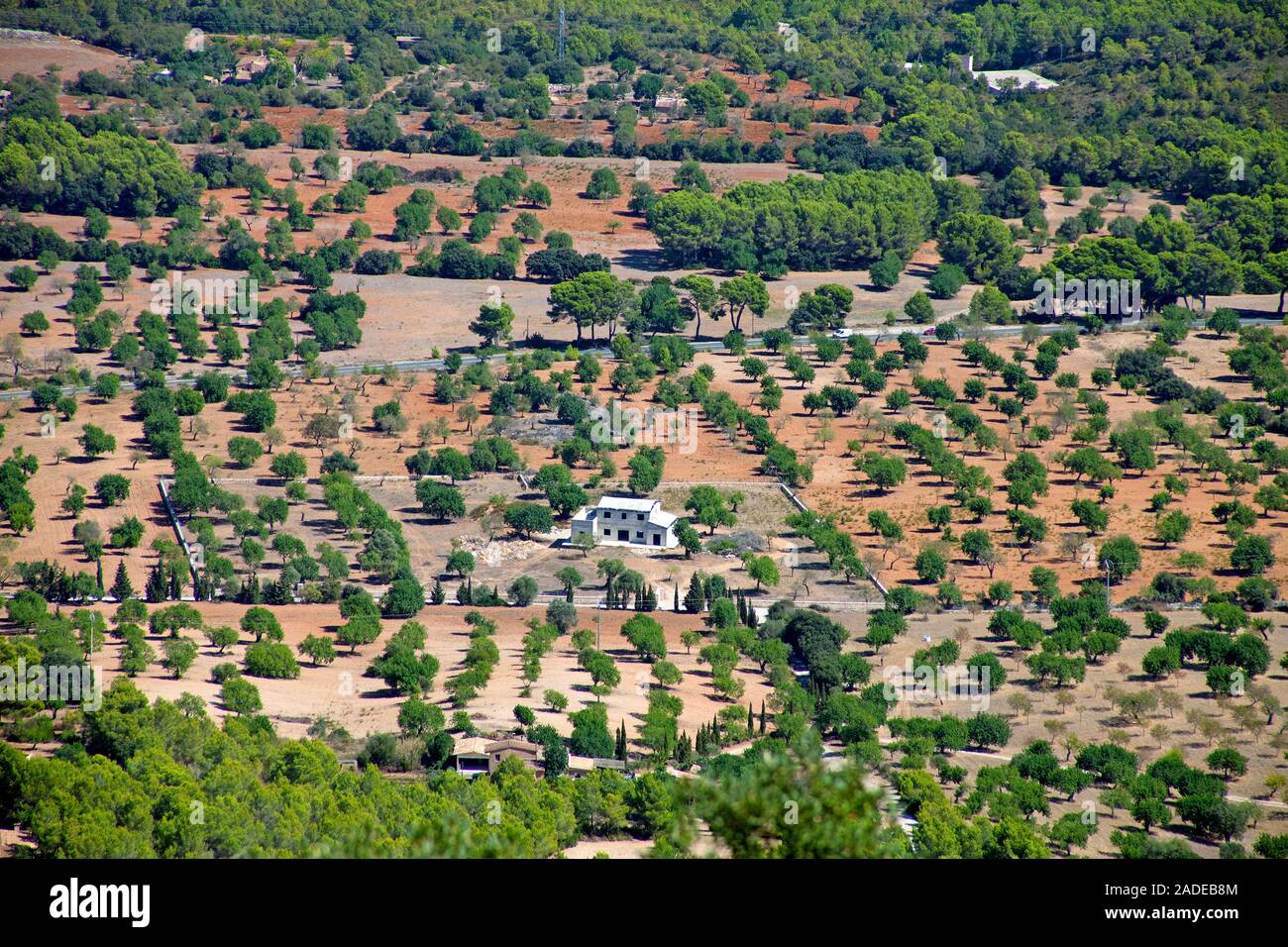 Vista desde el monasterio Santuario de Sant Salvador en una explotación agrícola, Felanitx, Mallorca, Islas Baleares, España Foto de stock