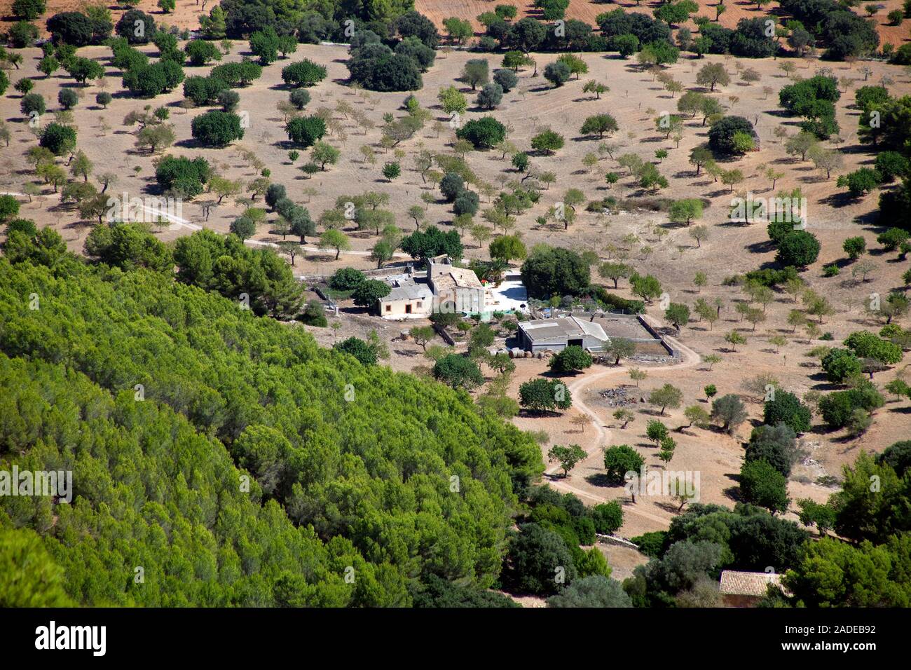 Vista desde el monasterio Santuario de Sant Salvador en una explotación agrícola, Felanitx, Mallorca, Islas Baleares, España Foto de stock