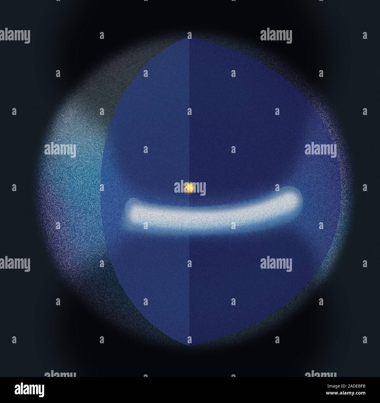 Cinturón de Kuiper y nube de Oort. Ilustración que muestra el Cinturón de  Kuiper (banda blanca) y la nube de Oort (esfera) que rodea el sistema solar  (Sol en el centro Fotografía