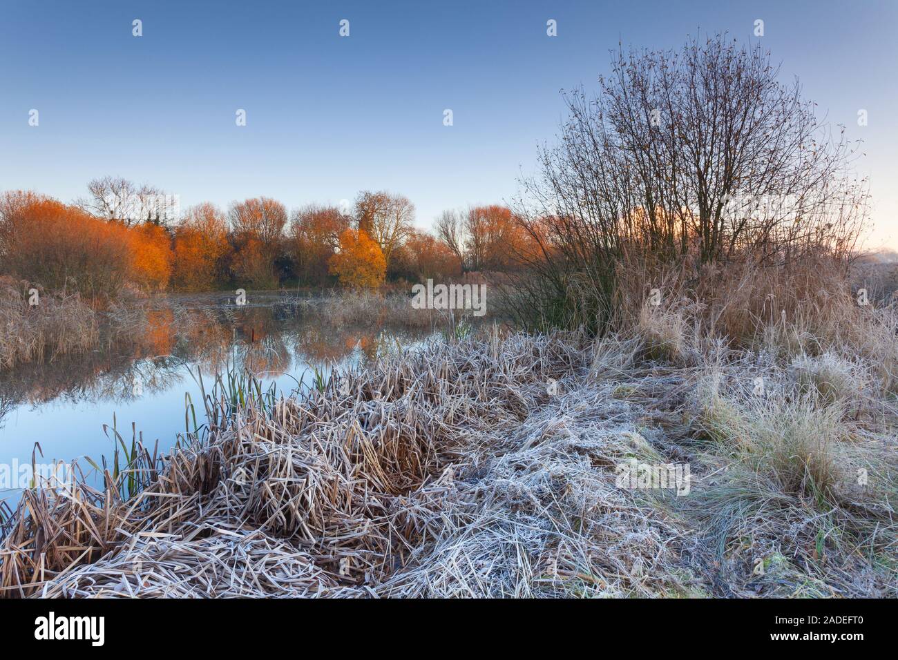 Barton-upon-Humber, Norte de Lincolnshire, Reino Unido. 30 de noviembre de 2019. El clima del Reino Unido: una reserva natural en una helada mañana de invierno en diciembre. Crédito: LEE BEEL/ Foto de stock