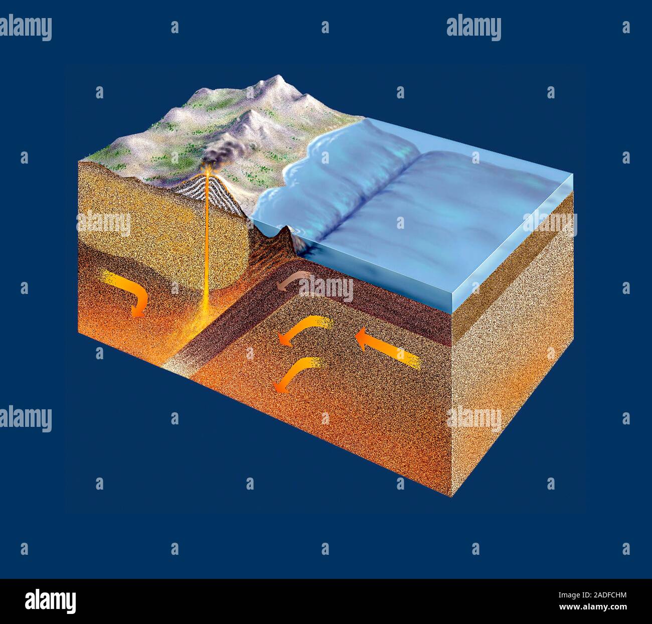 Subducion Zona de subducción, ilustraciones. Una zona de subducción es una región ...
