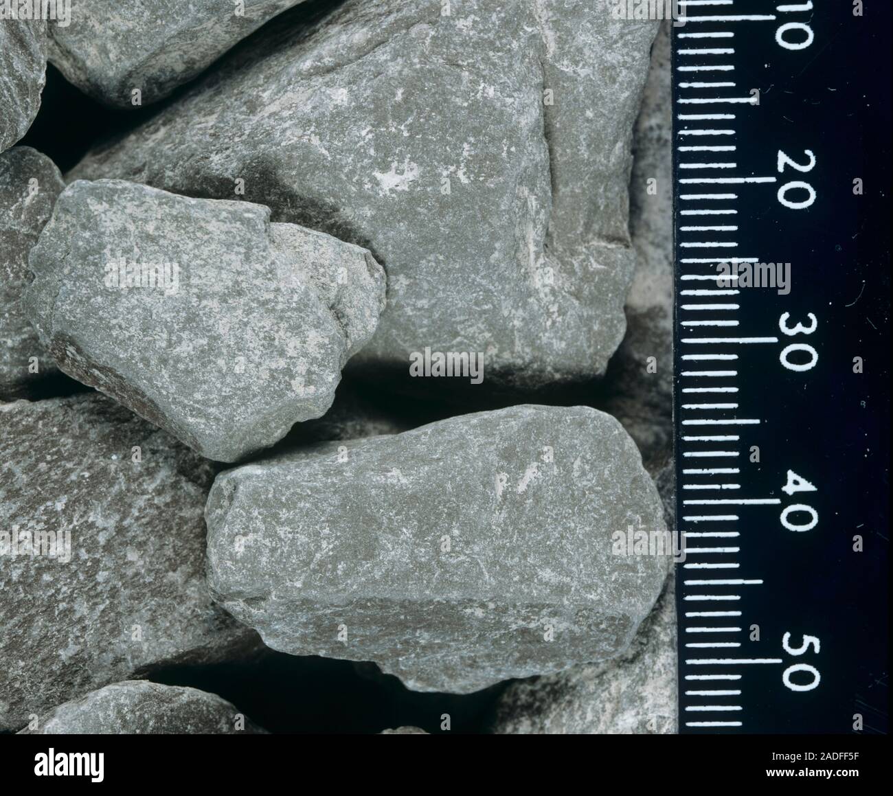 Pizarra de piedra con una regla (a la derecha) indicando la escala en  milímetros. Estas grandes piedras lisas están formados por rocas  sedimentarias, como la piedra caliza o sa Fotografía de stock -