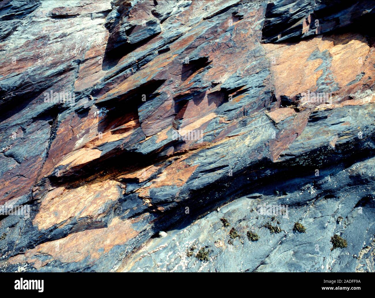 Roca metamórfica de pizarra. La pizarra es formado cuando una roca  sedimentaria de grano fino, como mudstone, es sometida a altas presiones y  temperaturas dentro Fotografía de stock - Alamy