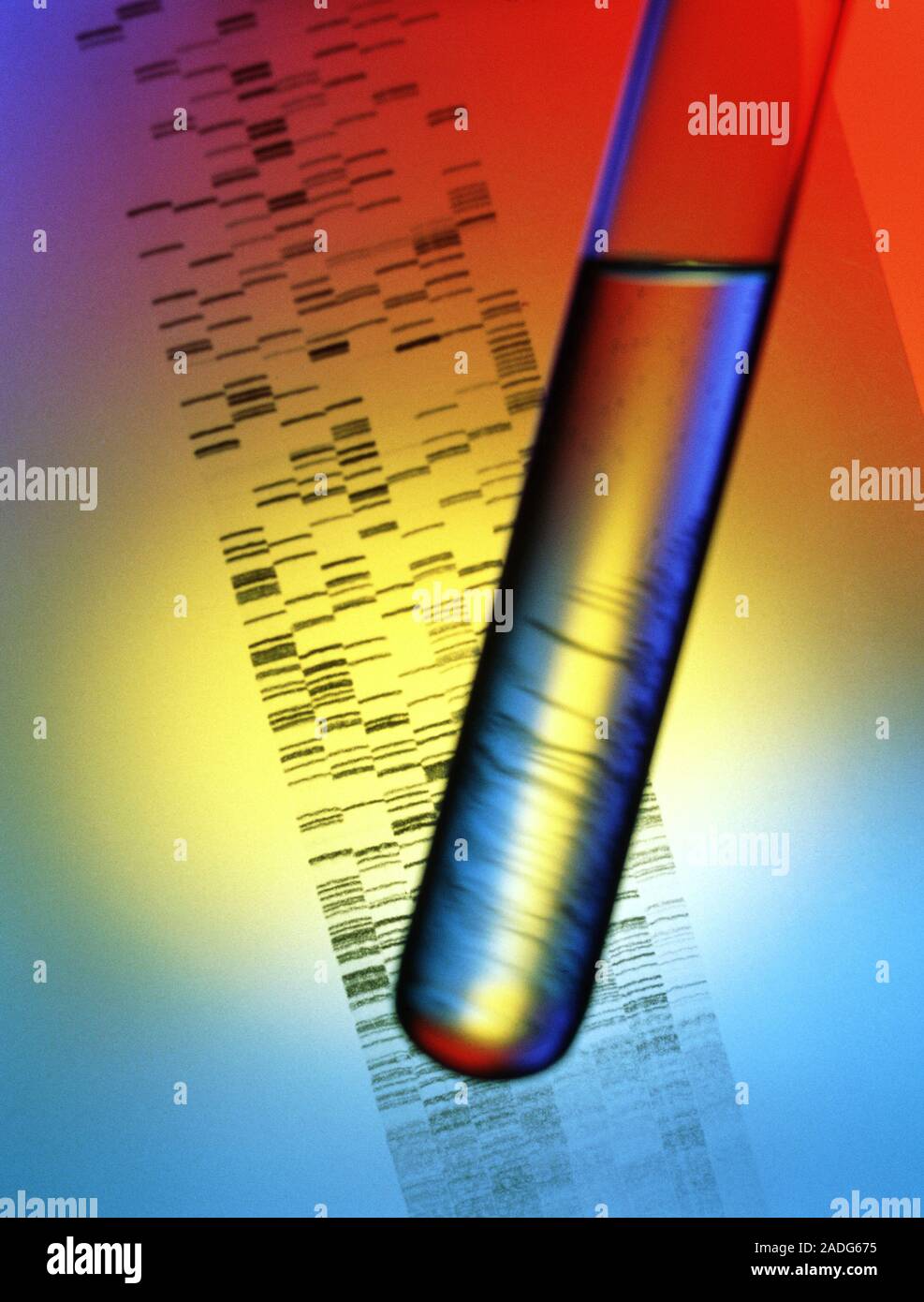 Huellas dactilares de ADN. Autoradiogram ADN huella genética' y un tubo
