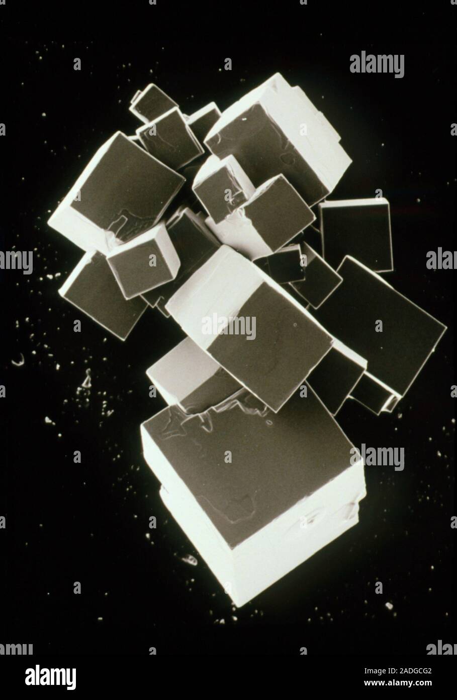 La sal común. Análisis micrografía de electrones (SEM) de BDH Analar