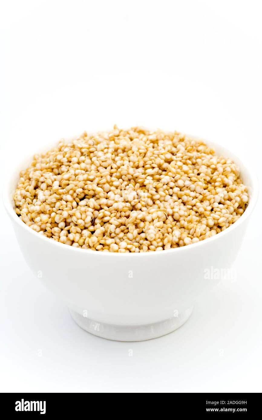 La quinua (Chenopodium quinoa). La quinoa es un pseudograin originalmente desde la Cordillera de