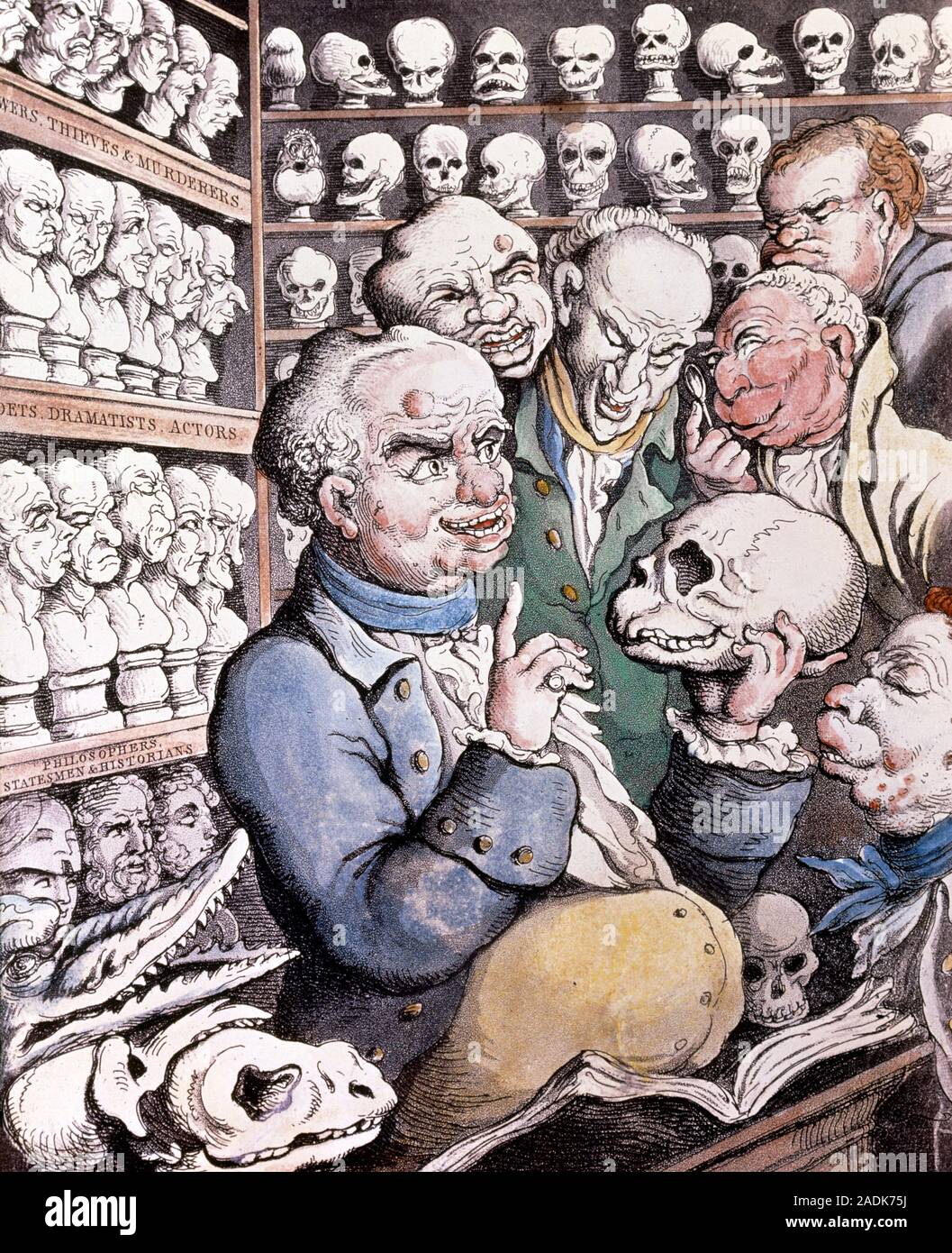 La frenología. Caricatura de Franz Joseph Gall, inventor de la pseudo ...