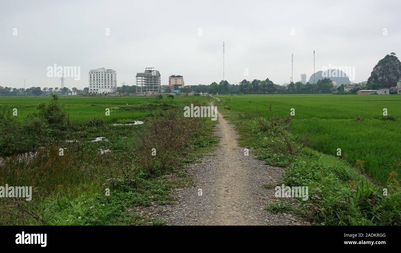 Una ruta corta a través de campos de arroz cerca de Ninh Binh, Vietnam Foto de stock